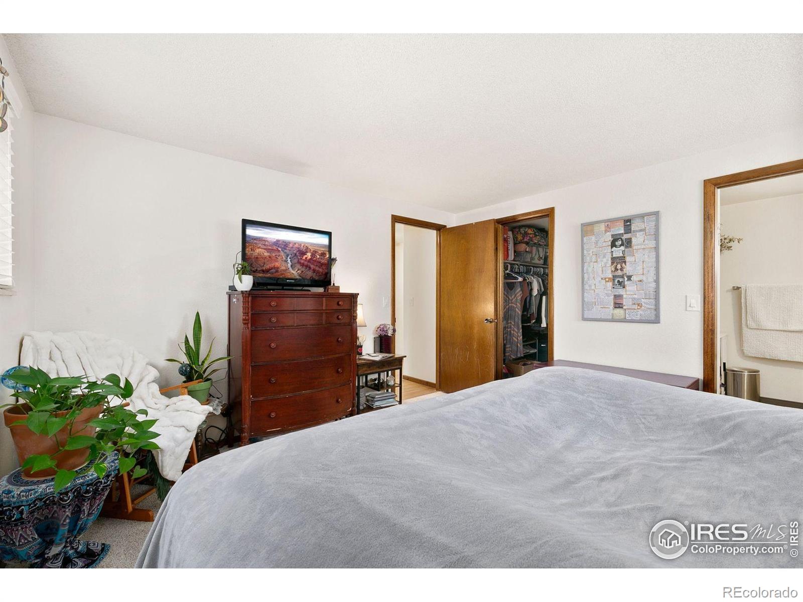MLS Image #21 for 27775  blackfoot road,loveland, Colorado