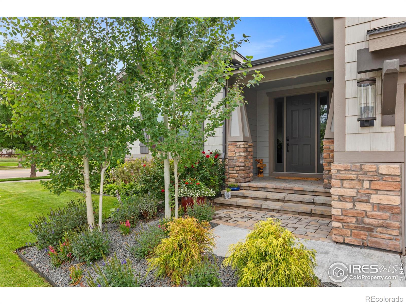 MLS Image #41 for 6102  hawks perch lane,fort collins, Colorado