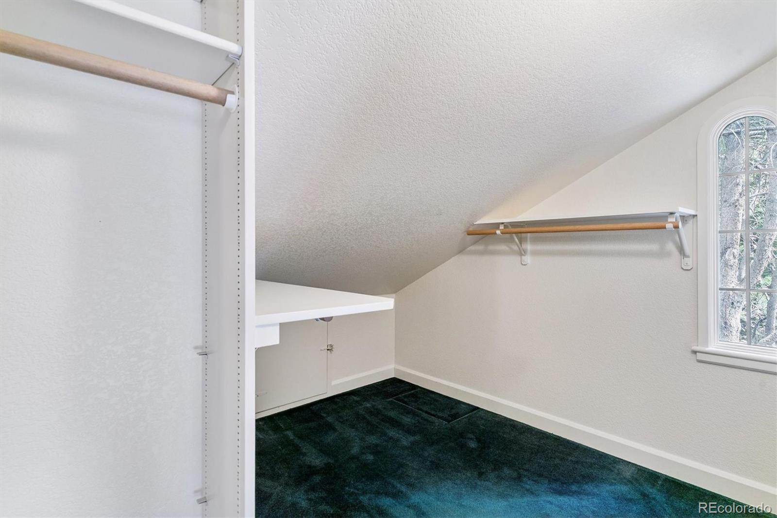 MLS Image #27 for 1021 s columbine street,denver, Colorado