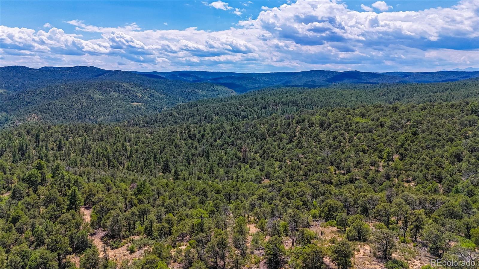 MLS Image #4 for 31300  timber canyon road,trinidad, Colorado