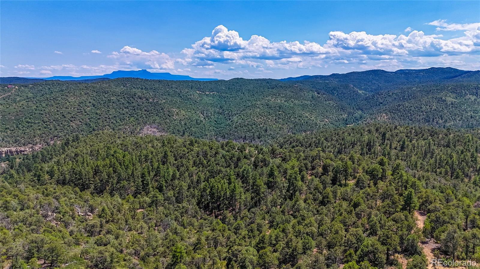 MLS Image #5 for 31300  timber canyon road,trinidad, Colorado