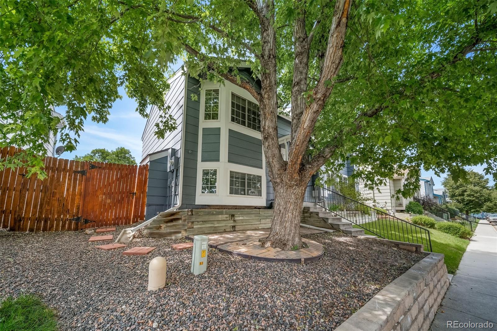 MLS Image #2 for 93  rockaway avenue,castle rock, Colorado