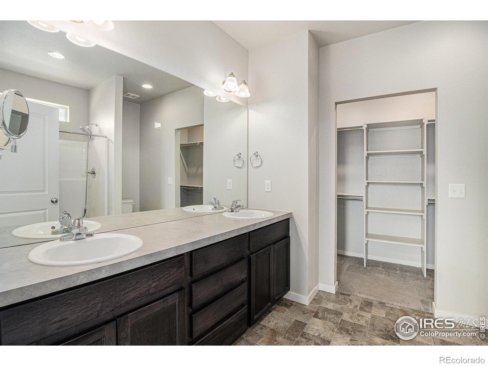 MLS Image #11 for 3787  buckthorn street,wellington, Colorado