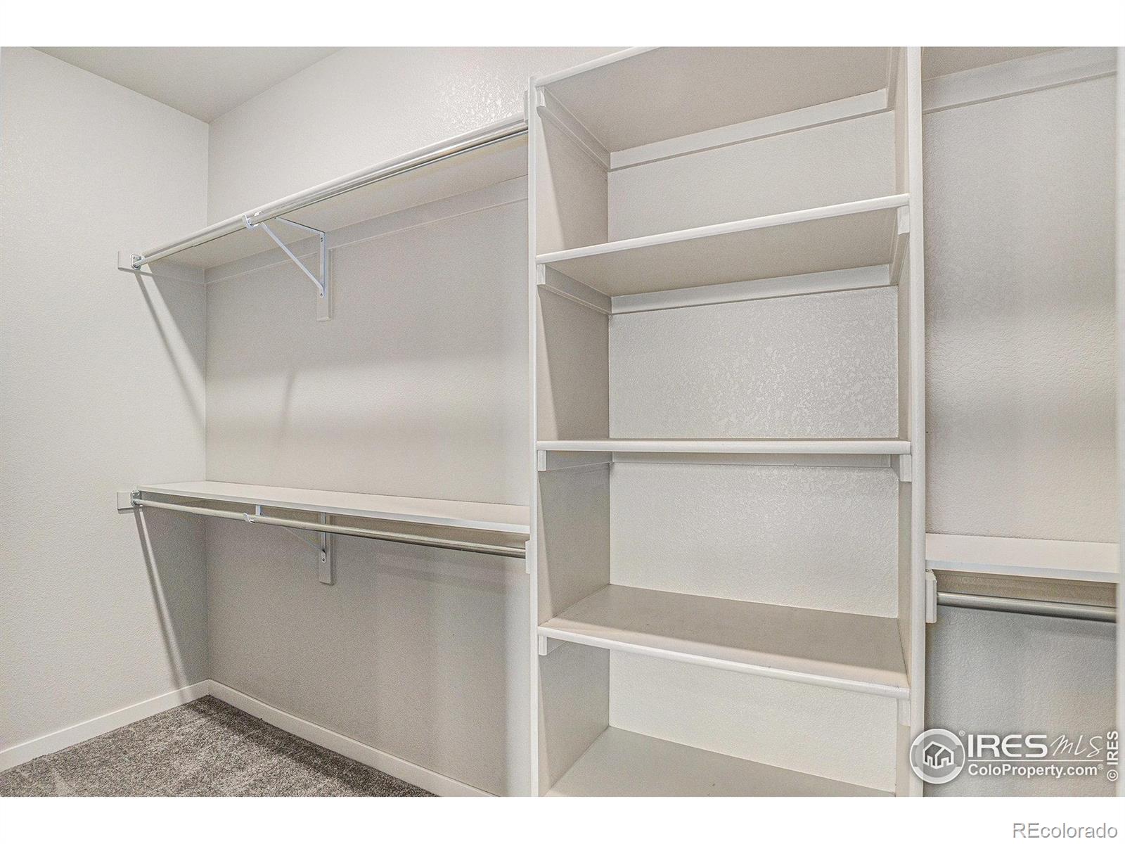 MLS Image #18 for 3787  buckthorn street,wellington, Colorado