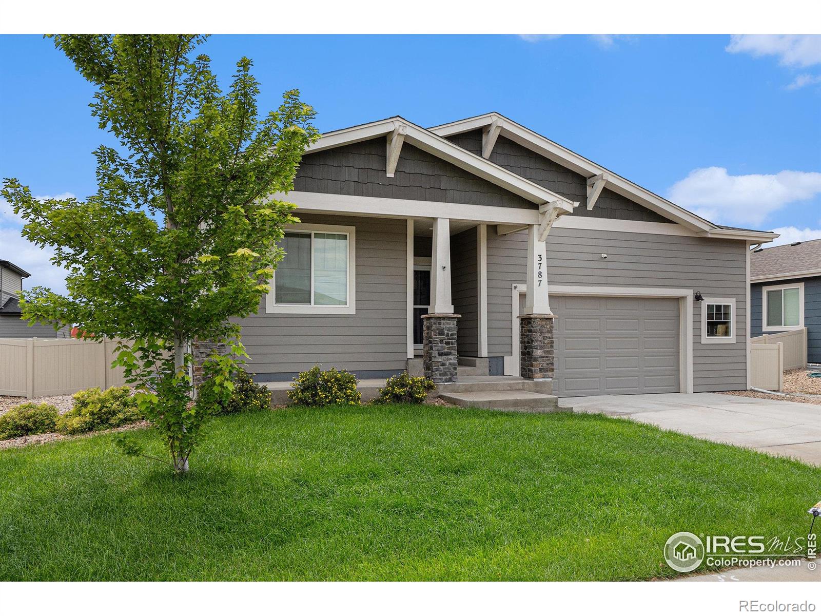 MLS Image #2 for 3787  buckthorn street,wellington, Colorado