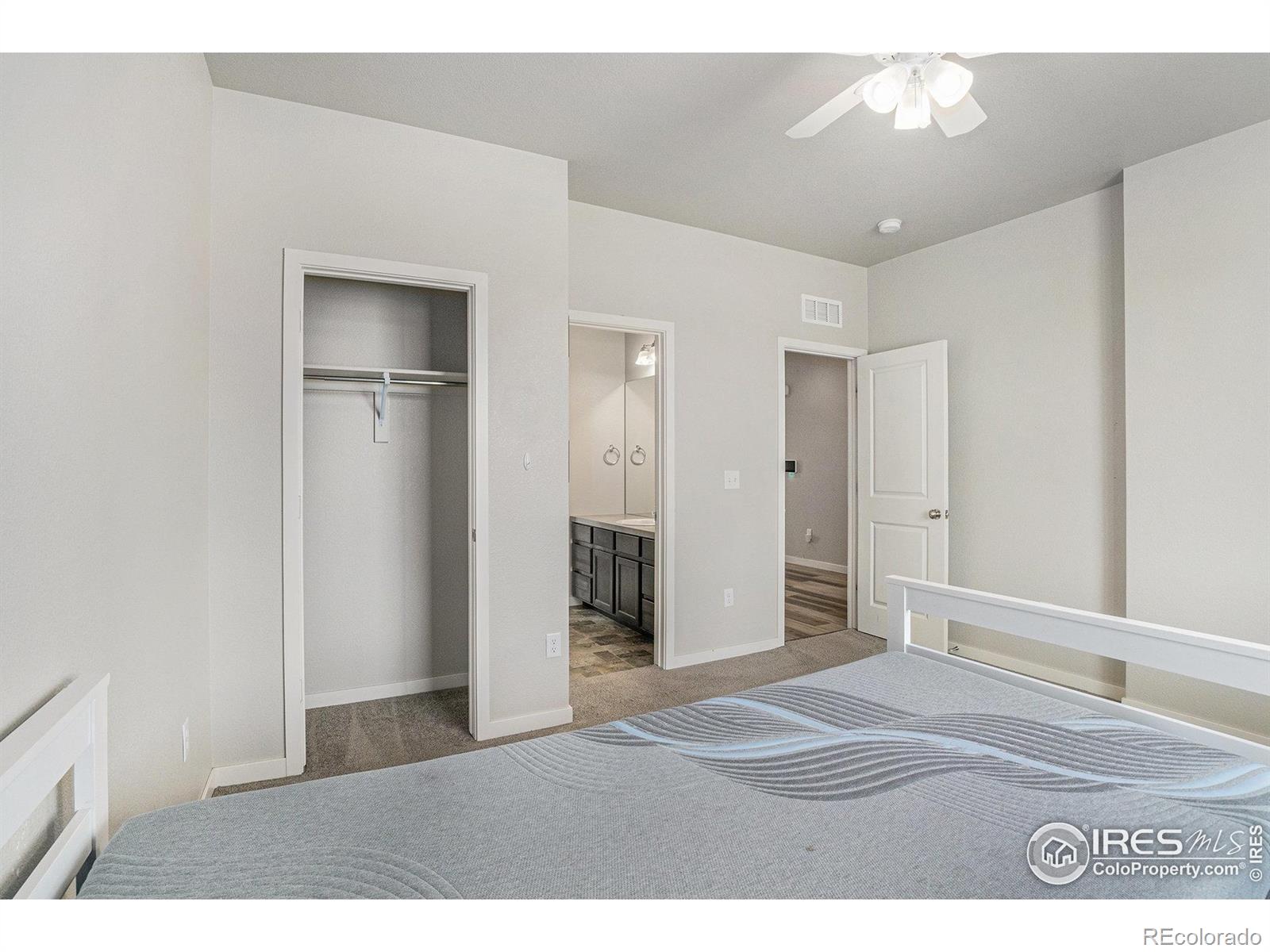 MLS Image #21 for 3787  buckthorn street,wellington, Colorado