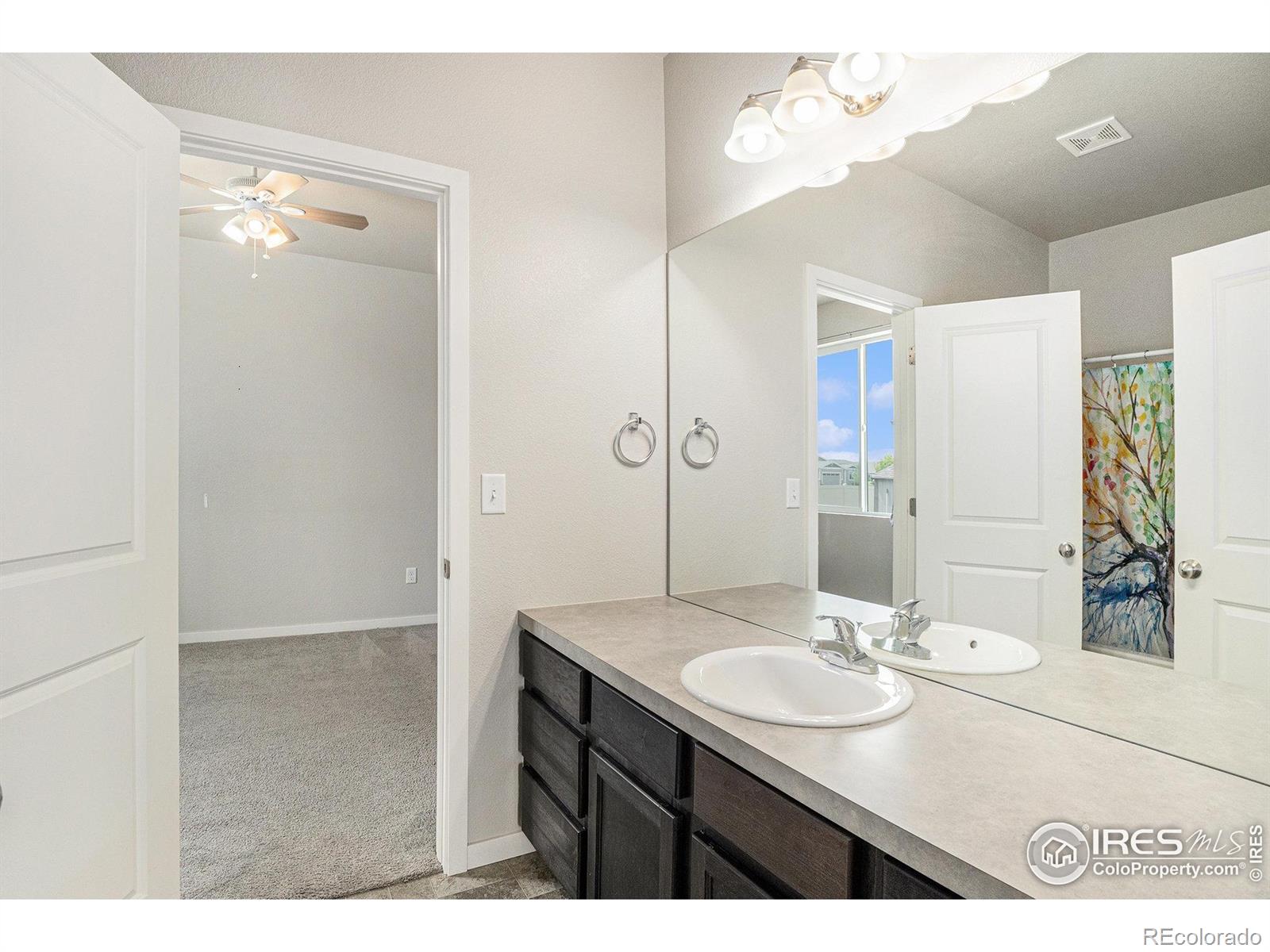 MLS Image #25 for 3787  buckthorn street,wellington, Colorado