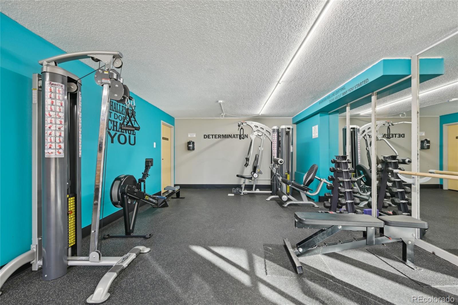 MLS Image #6 for 2880 s locust street,denver, Colorado