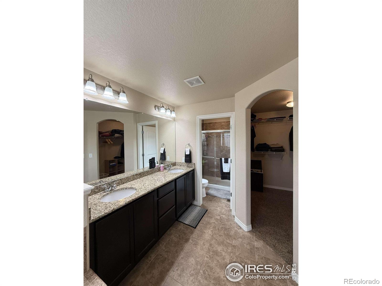 MLS Image #10 for 13624  saddle drive,mead, Colorado