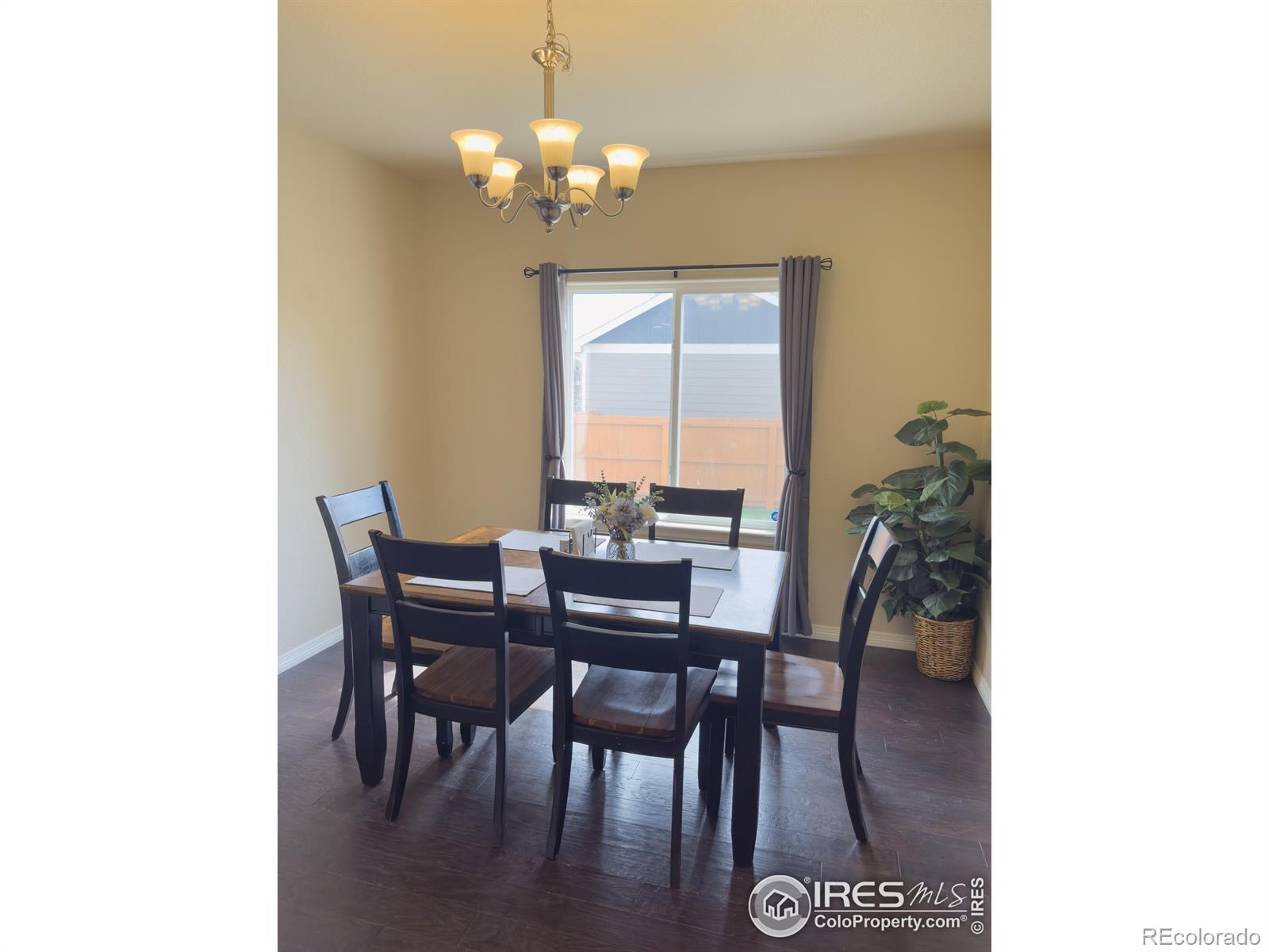 MLS Image #6 for 13624  saddle drive,mead, Colorado