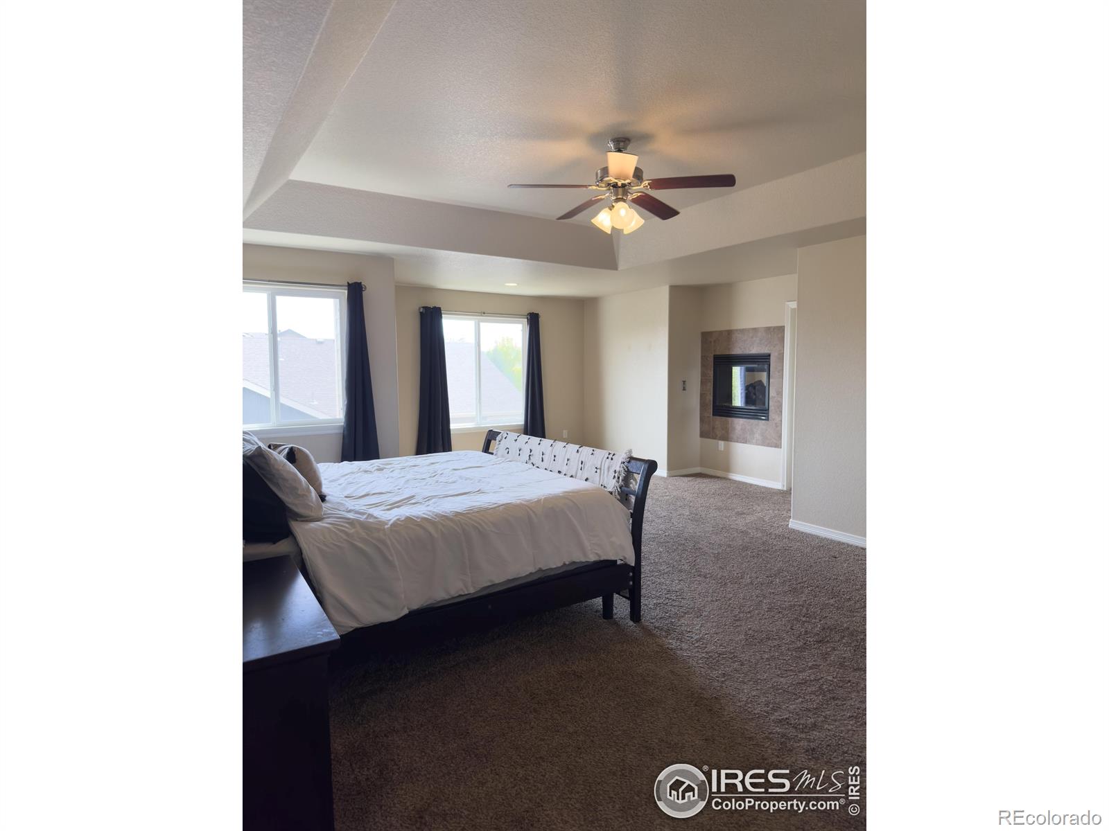 MLS Image #7 for 13624  saddle drive,mead, Colorado