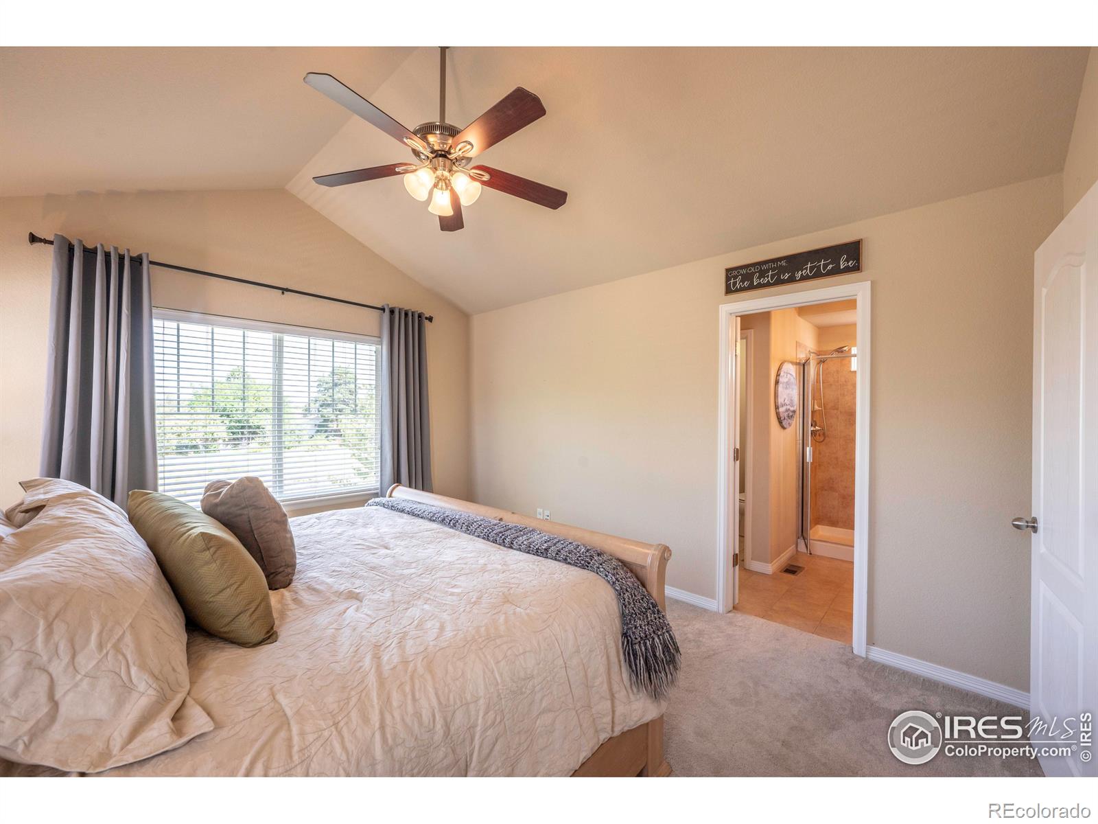 MLS Image #21 for 1855  trevor circle,longmont, Colorado