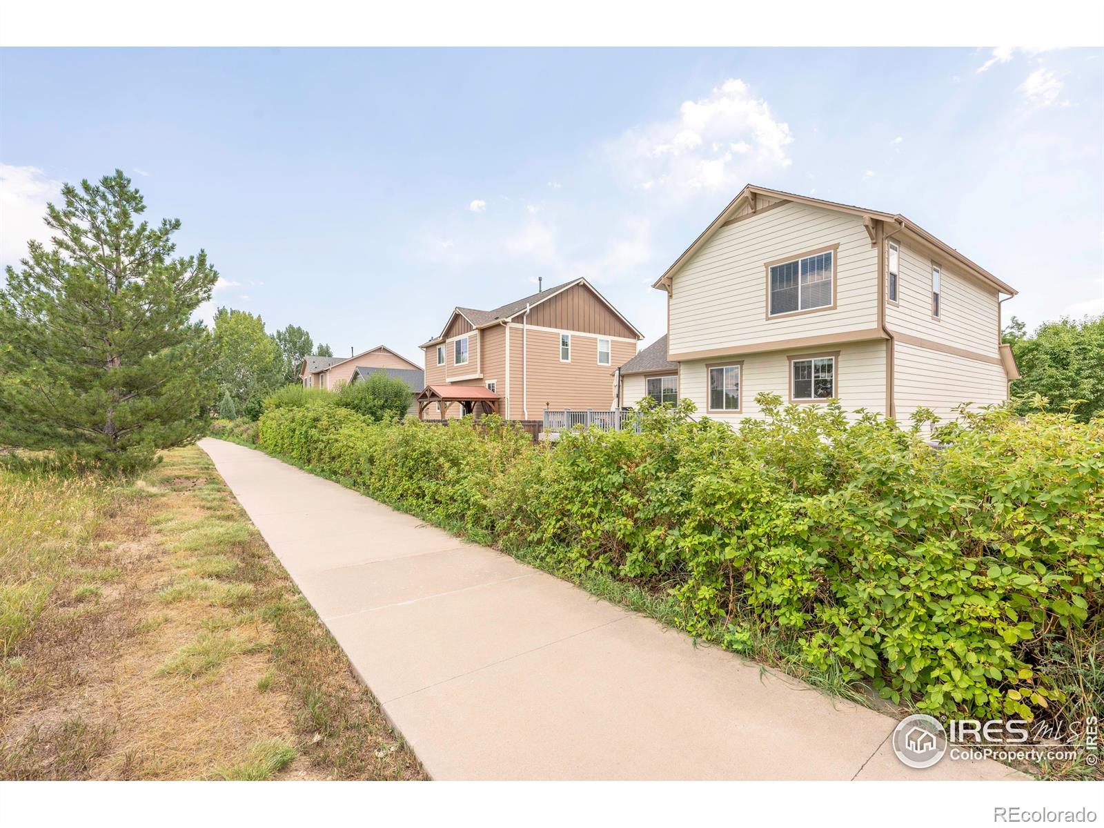 MLS Image #44 for 1855  trevor circle,longmont, Colorado