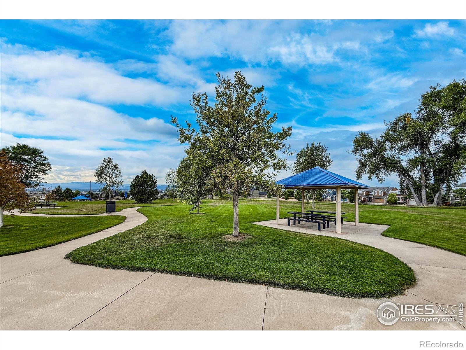 MLS Image #4 for 14184  madison street,thornton, Colorado