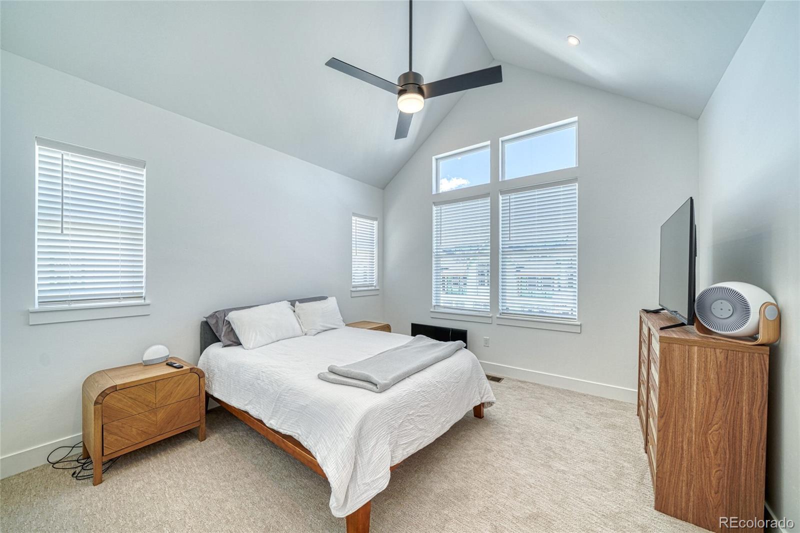 MLS Image #22 for 1400  silver vault street,leadville, Colorado