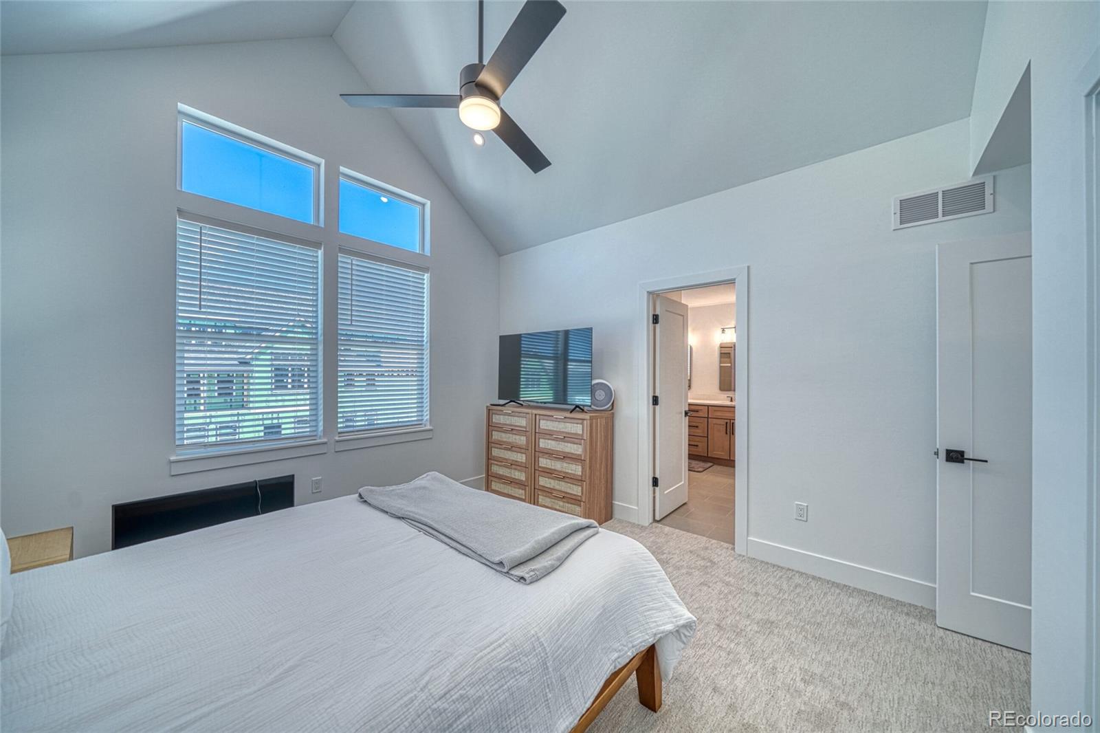 MLS Image #23 for 1400  silver vault street,leadville, Colorado