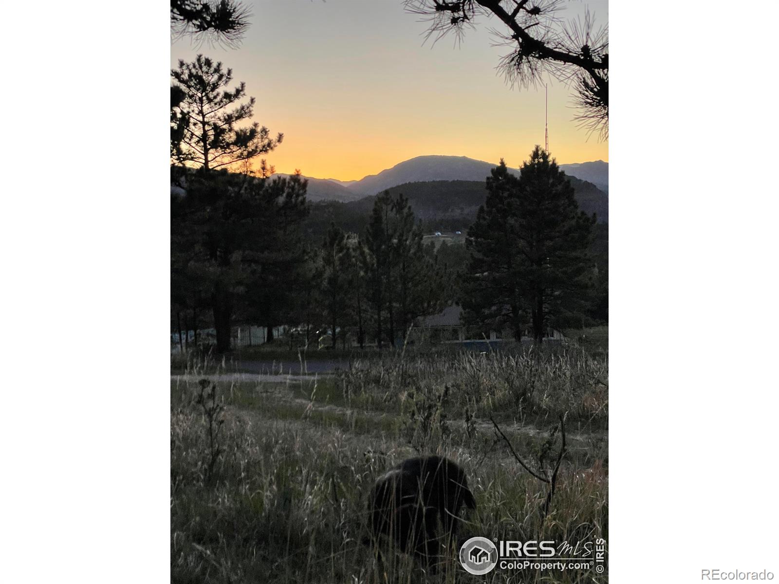 MLS Image #32 for 4012  lakefront drive,loveland, Colorado