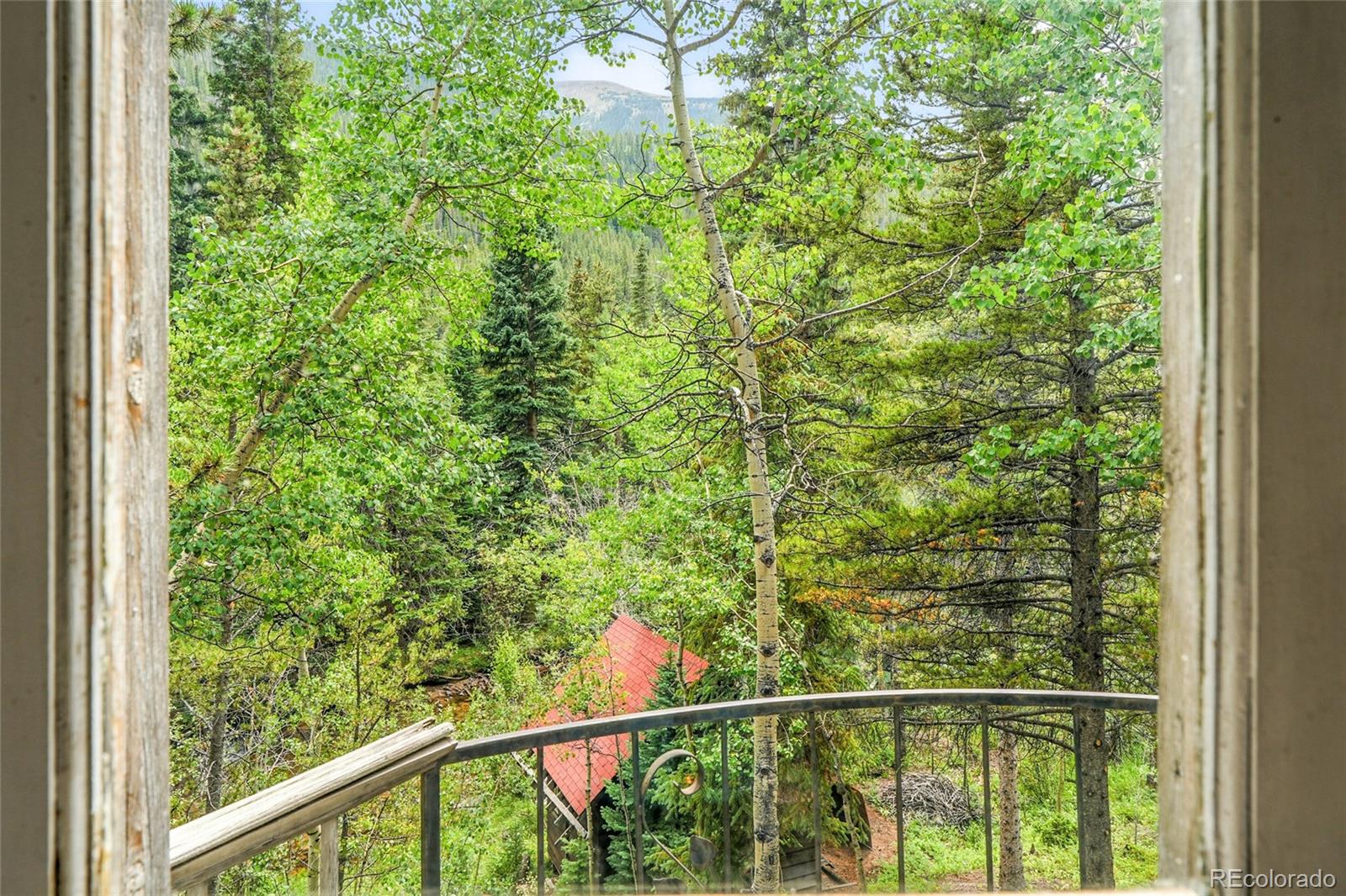 MLS Image #32 for 1493  silver valley road,silver plume, Colorado