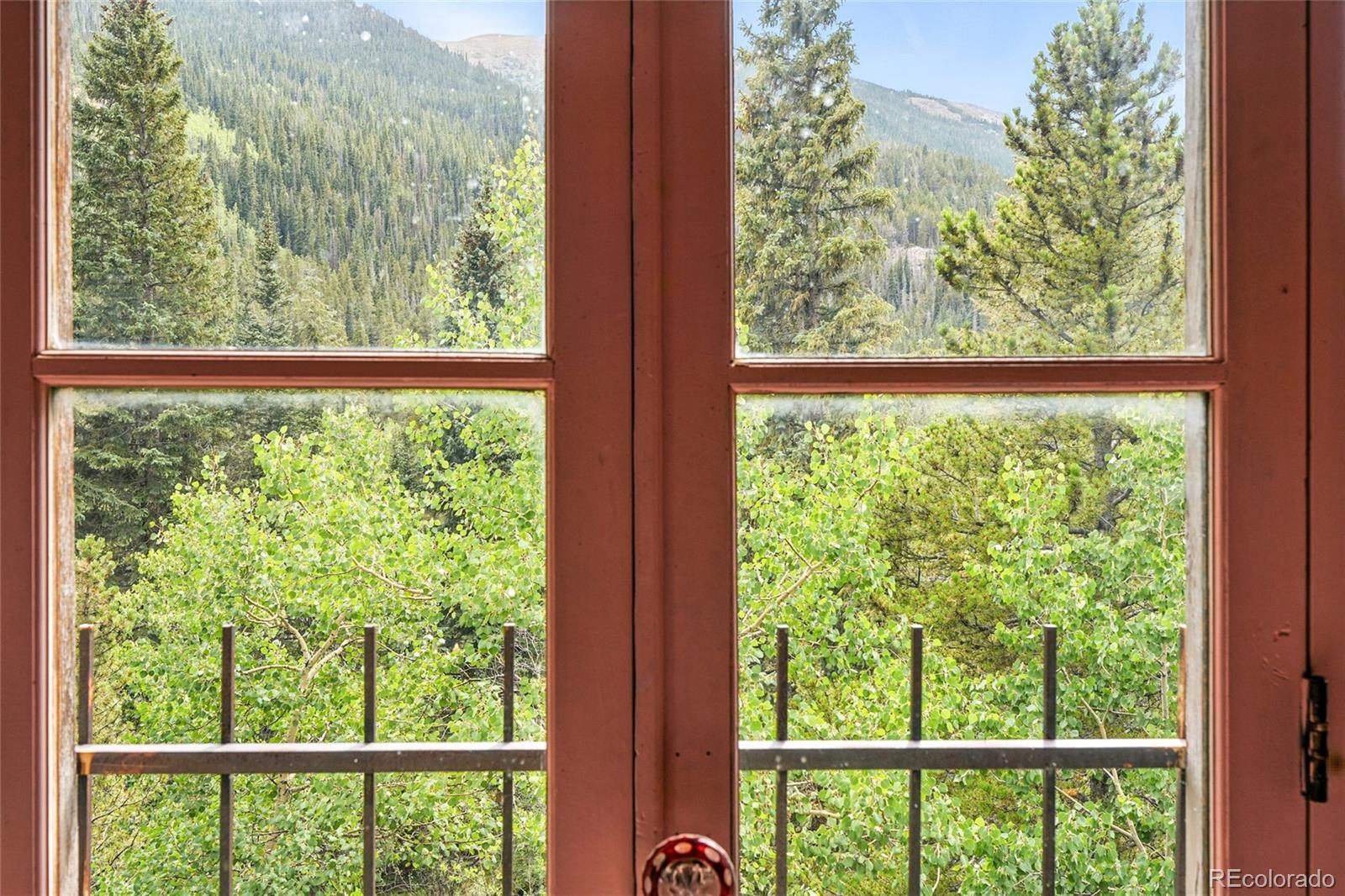 MLS Image #39 for 1493  silver valley road,silver plume, Colorado