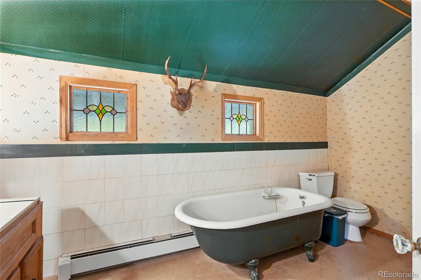 MLS Image #45 for 1493  silver valley road,silver plume, Colorado