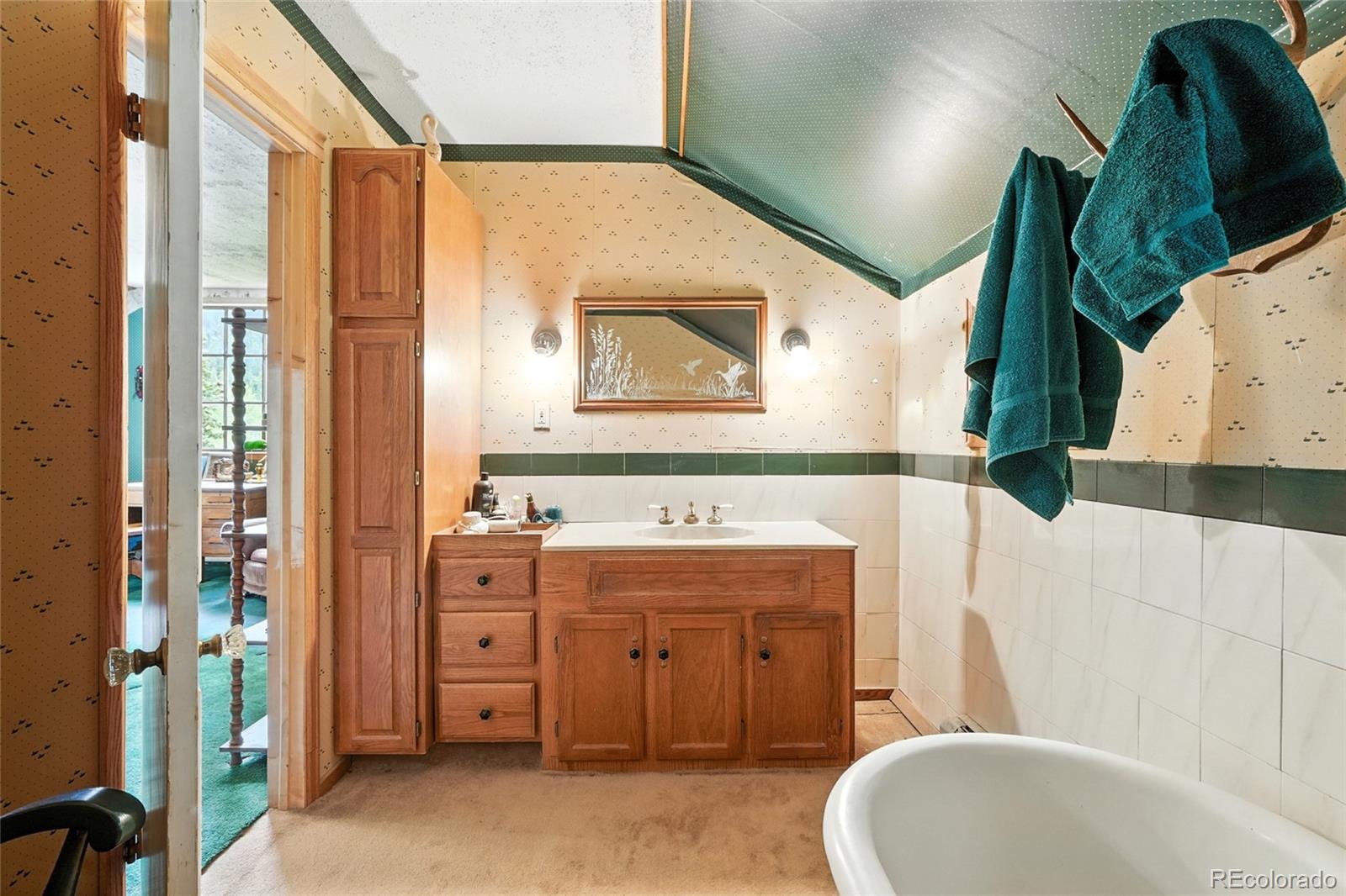 MLS Image #46 for 1493  silver valley road,silver plume, Colorado