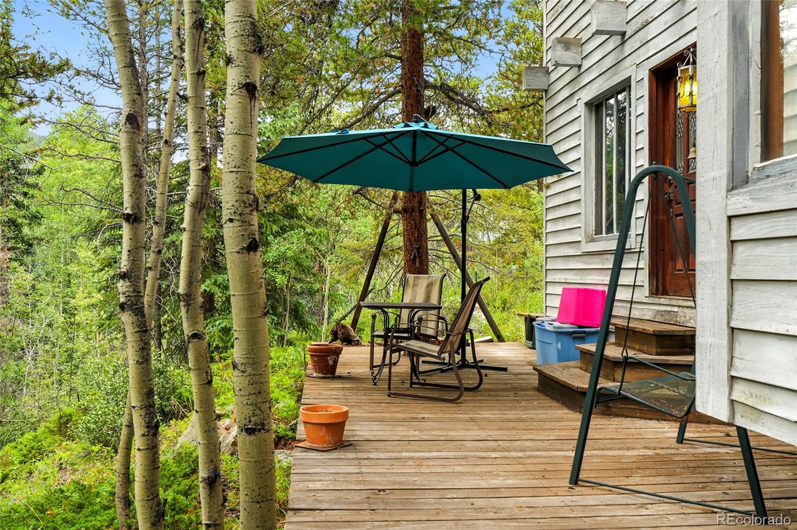 MLS Image #48 for 1493  silver valley road,silver plume, Colorado