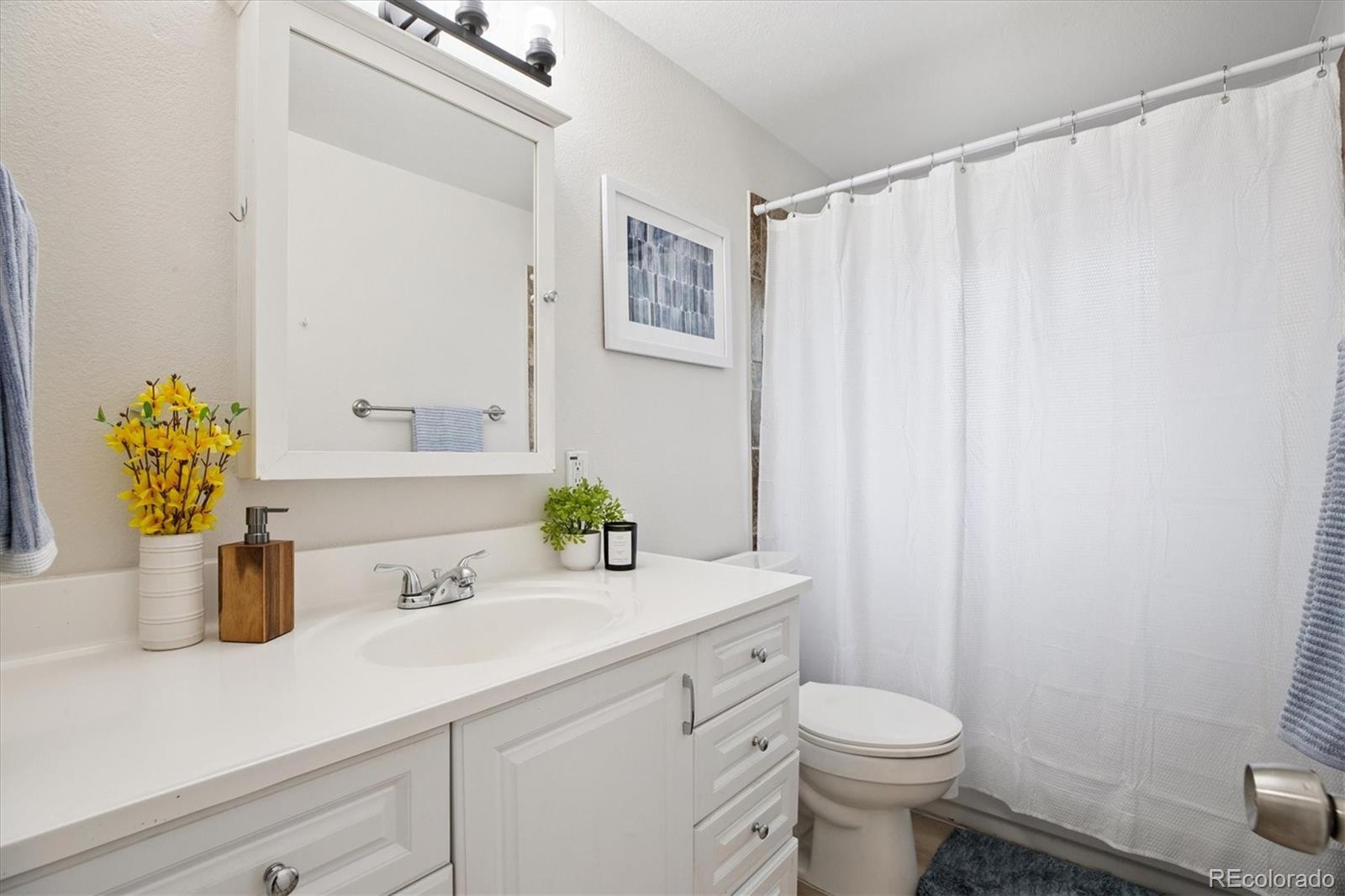 MLS Image #12 for 6755  newland street,arvada, Colorado