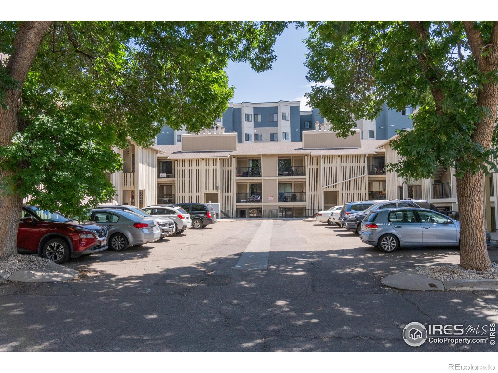 MLS Image #2 for 1209 w plum street,fort collins, Colorado