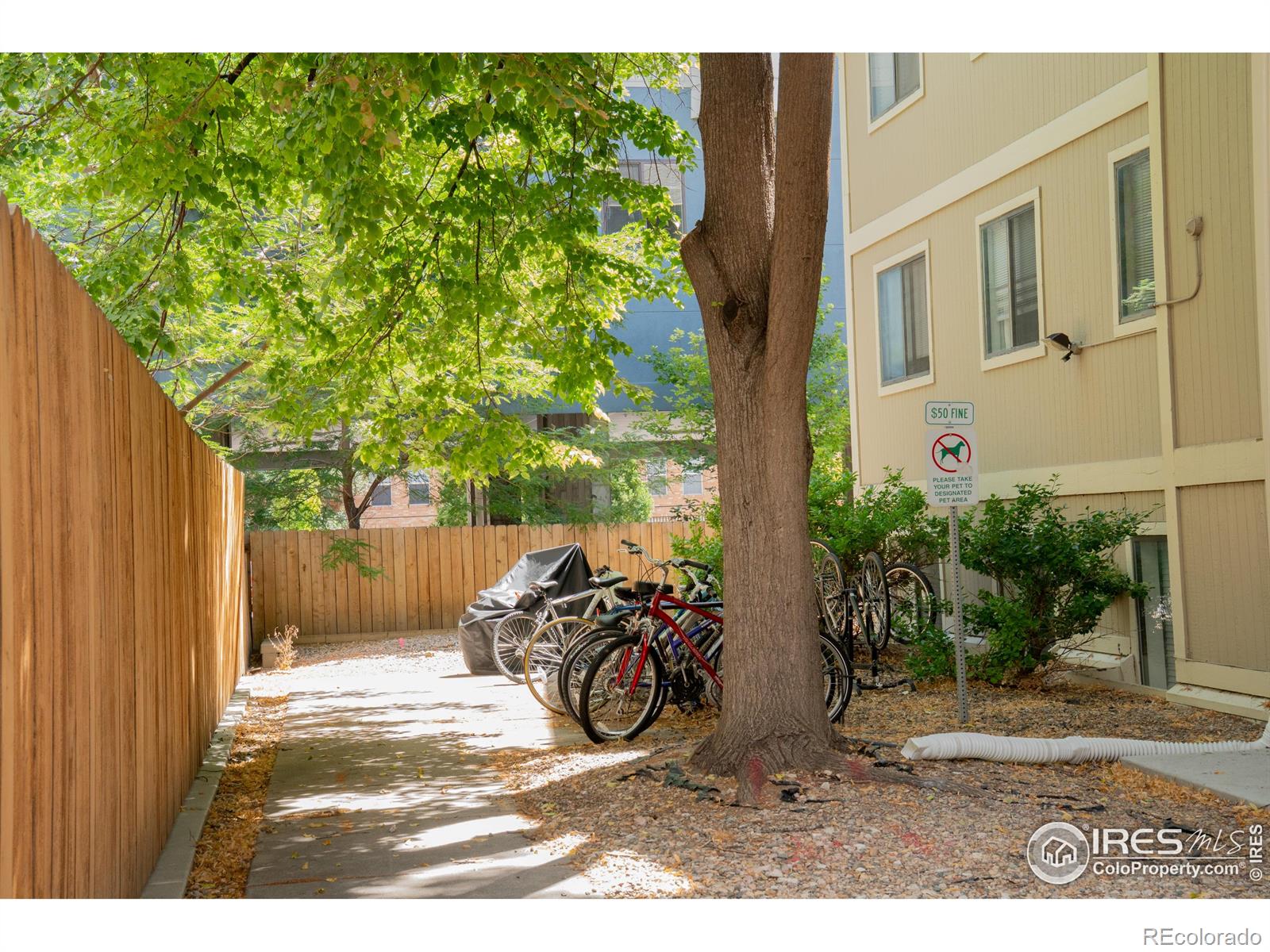 MLS Image #41 for 1209 w plum street,fort collins, Colorado