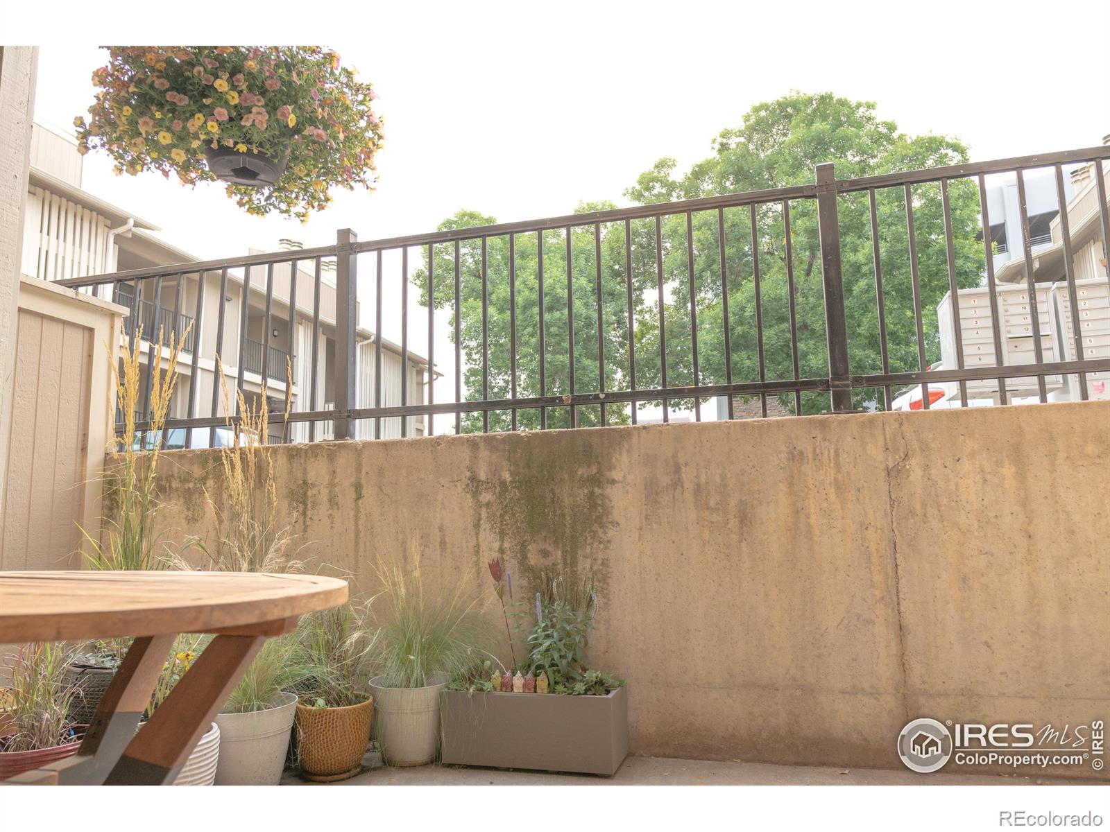 MLS Image #9 for 1209 w plum street,fort collins, Colorado