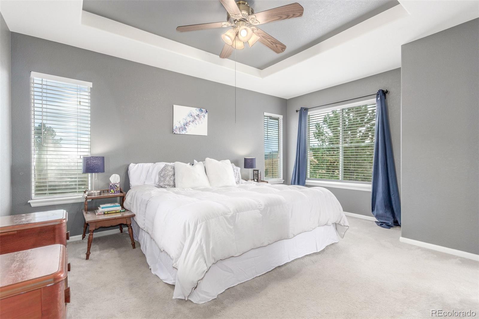 MLS Image #12 for 10660  jewelberry circle,highlands ranch, Colorado