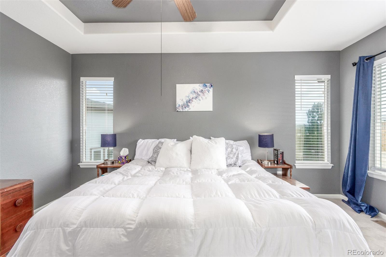 MLS Image #14 for 10660  jewelberry circle,highlands ranch, Colorado