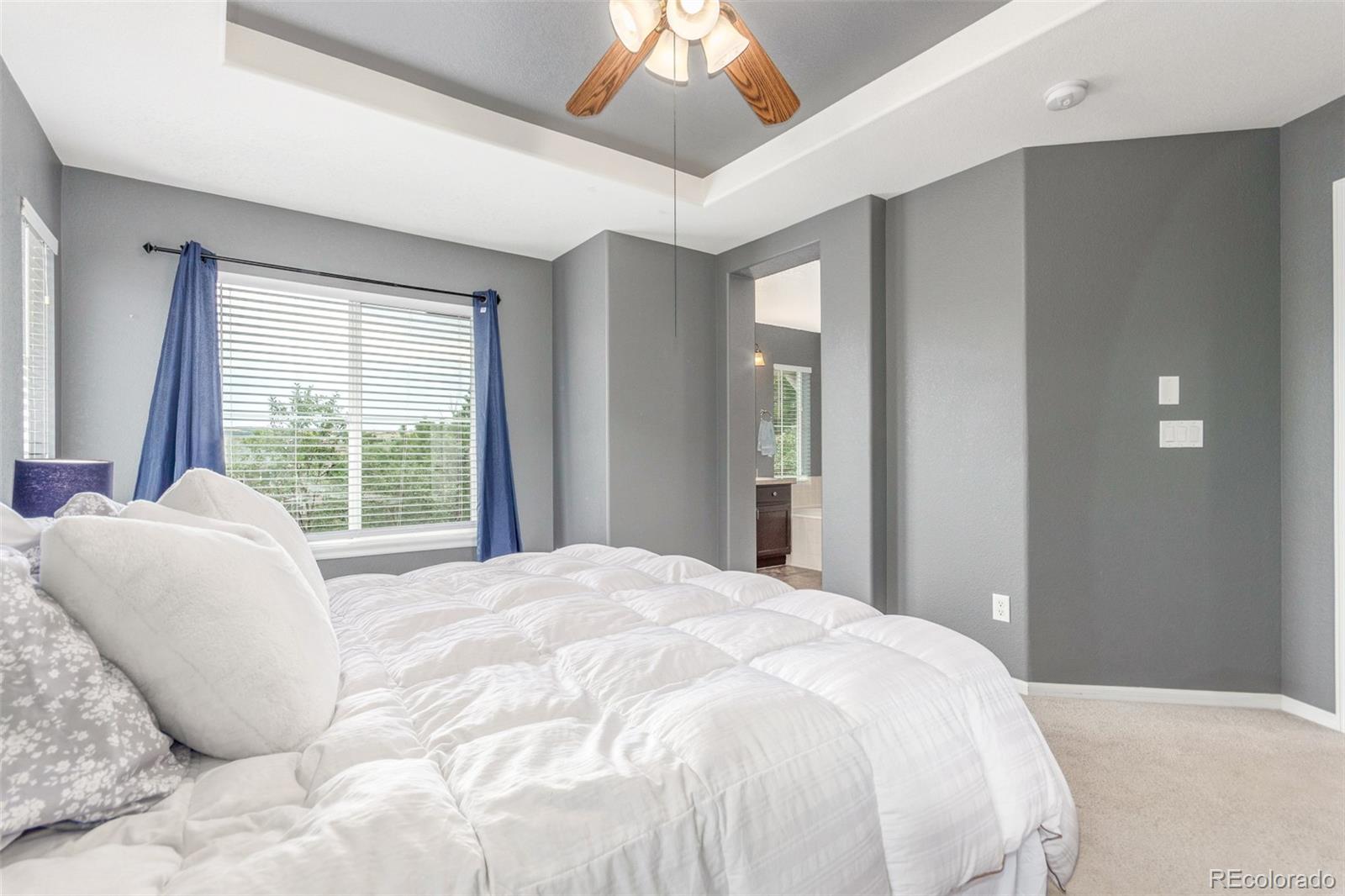 MLS Image #15 for 10660  jewelberry circle,highlands ranch, Colorado