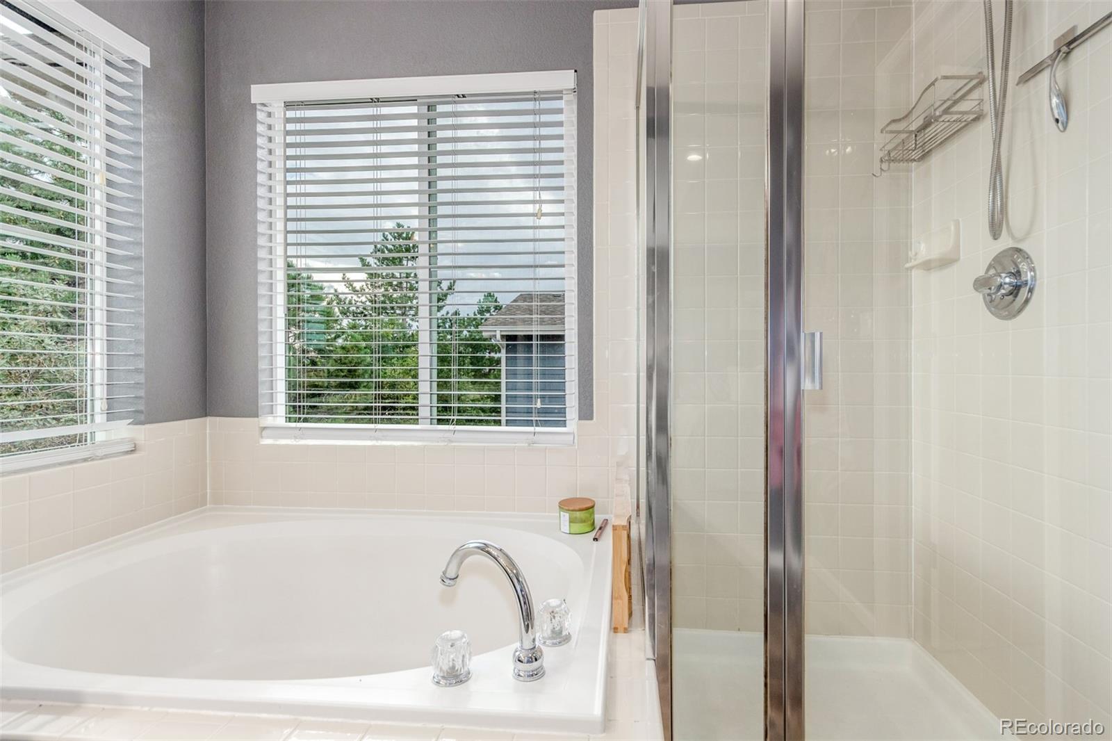 MLS Image #17 for 10660  jewelberry circle,highlands ranch, Colorado