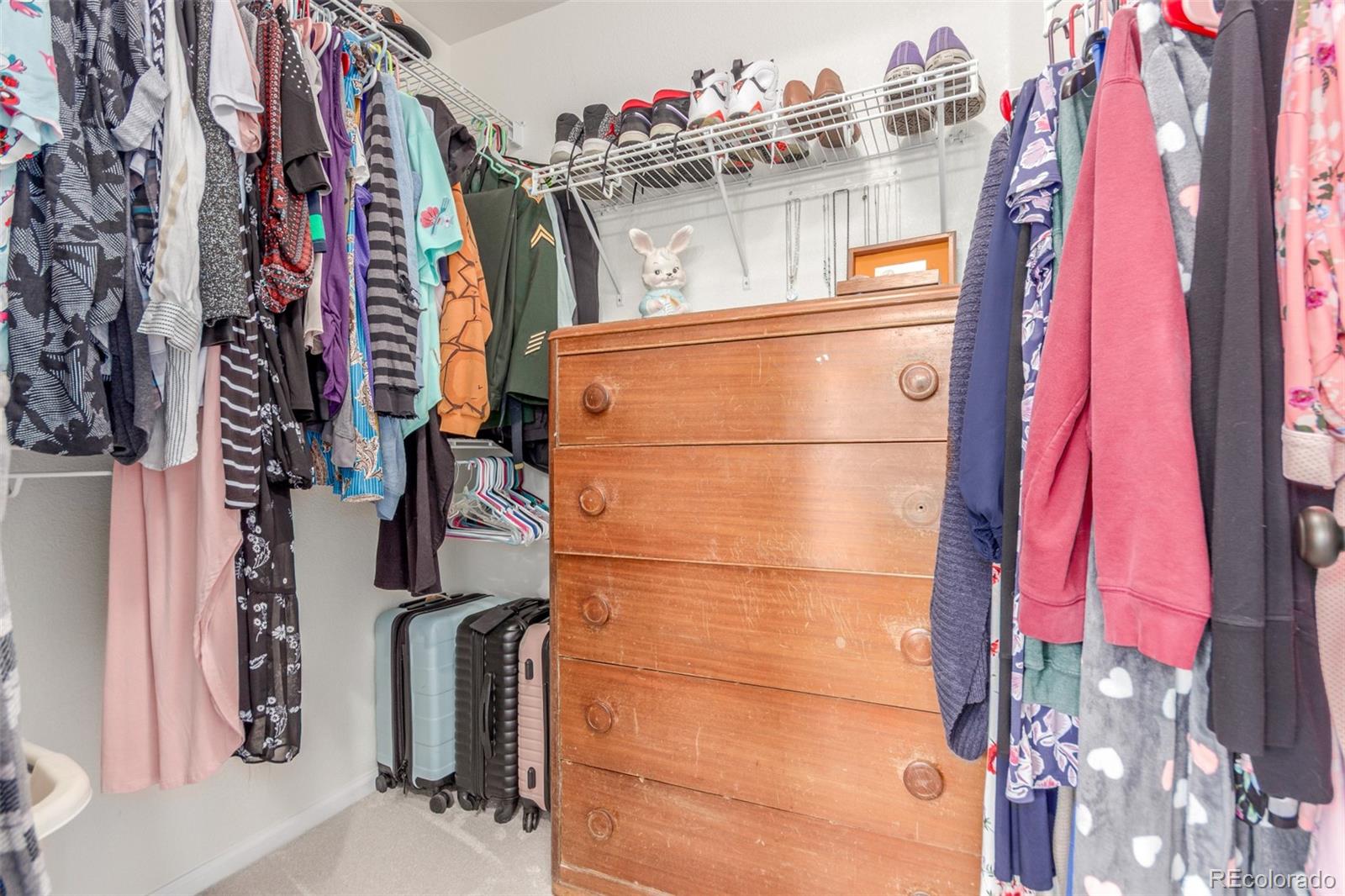 MLS Image #19 for 10660  jewelberry circle,highlands ranch, Colorado