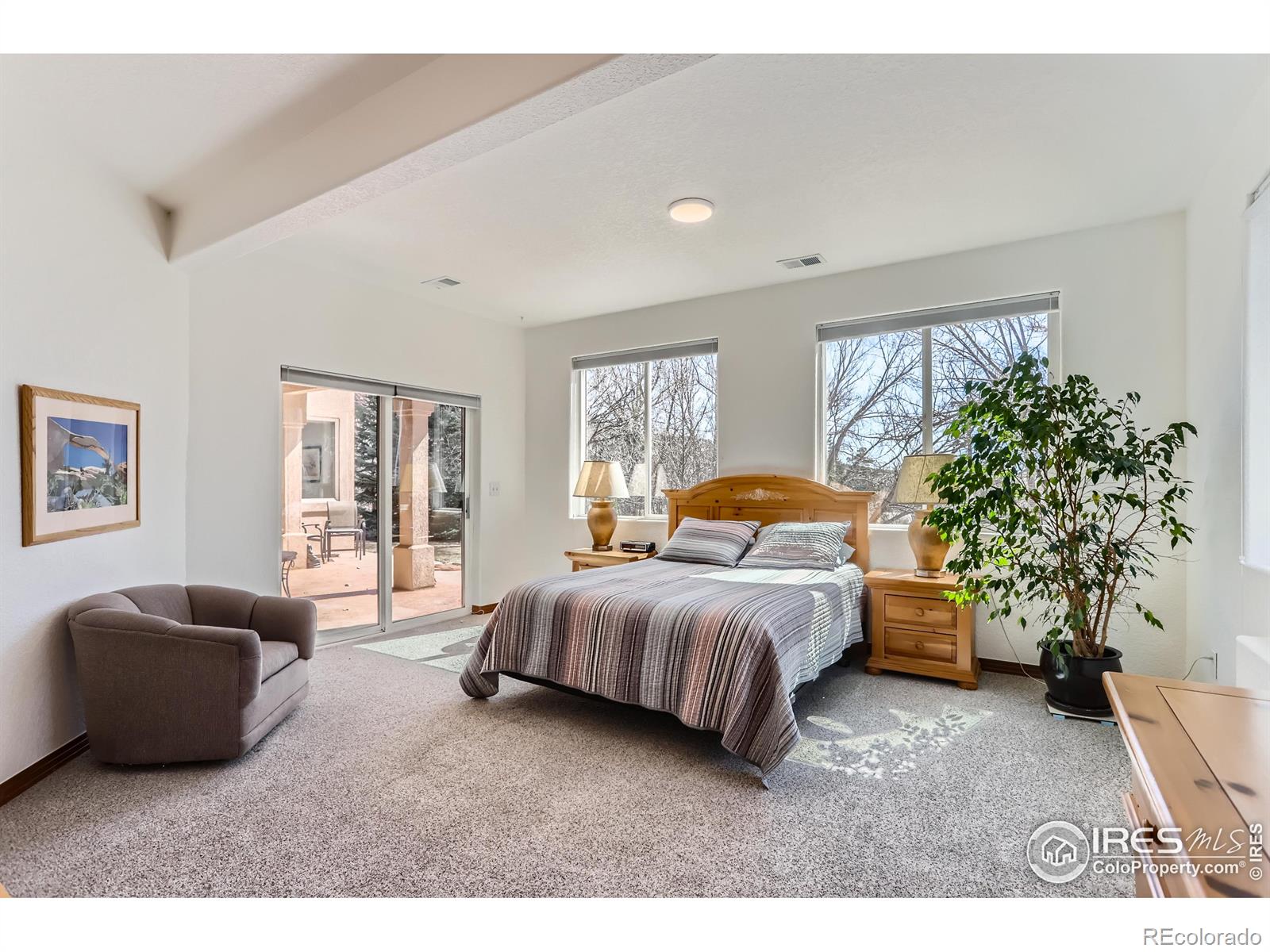 MLS Image #28 for 105  eagle canyon circle,lyons, Colorado