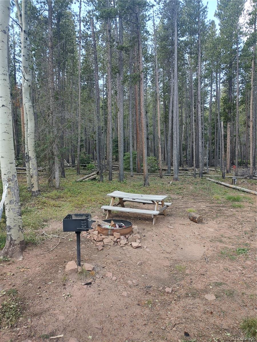 MLS Image #26 for 3035  forbes loop road,fort garland, Colorado