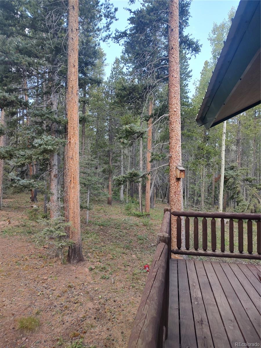 MLS Image #28 for 3035  forbes loop road,fort garland, Colorado