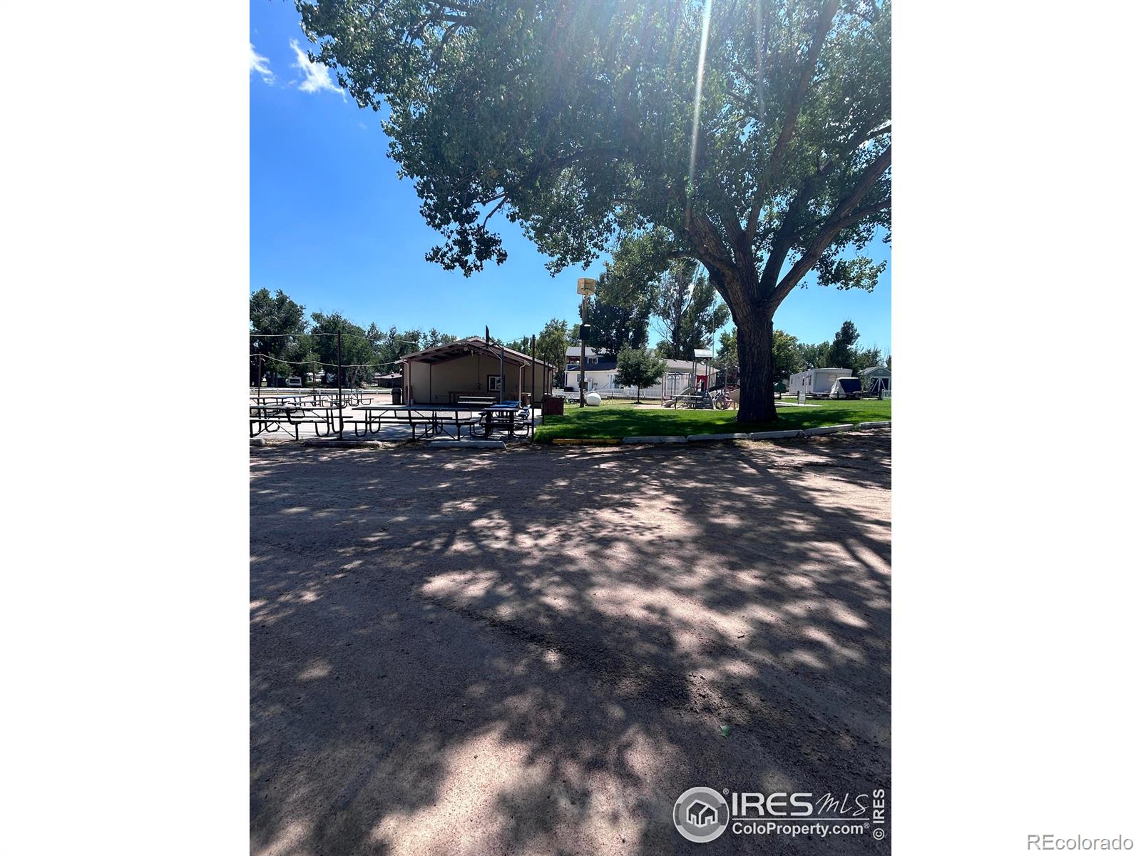 MLS Image #12 for 213  kiowa road,orchard, Colorado