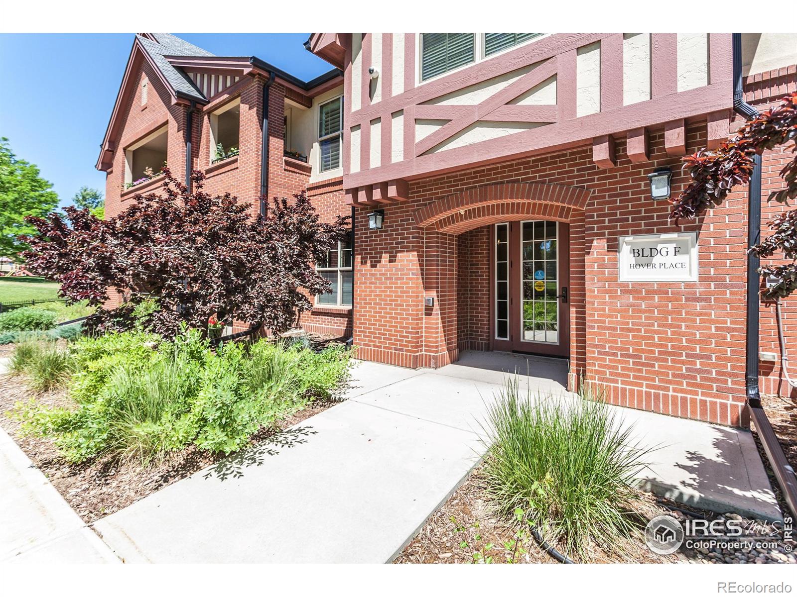 MLS Image #3 for 1379  charles drive,longmont, Colorado