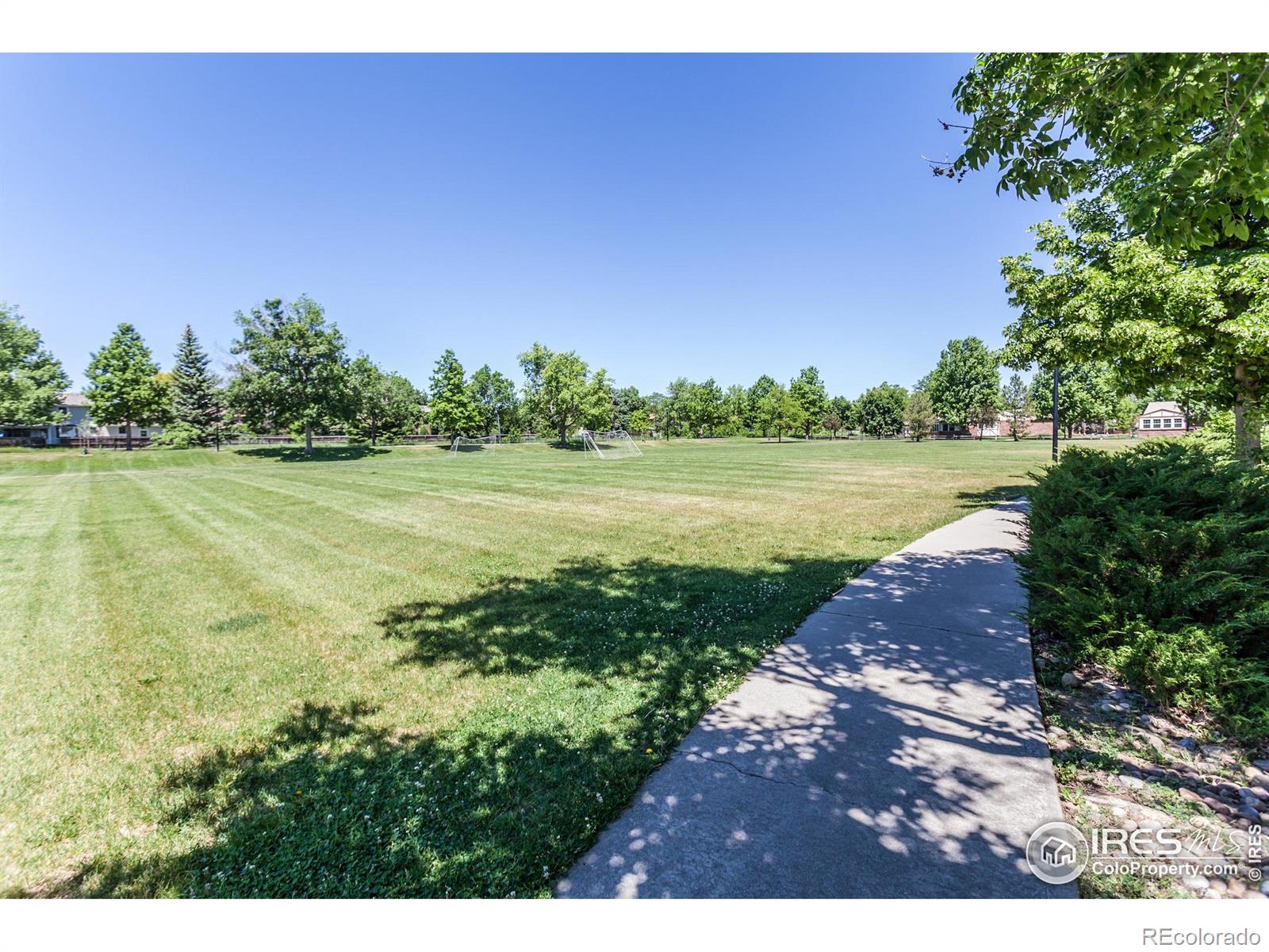 MLS Image #37 for 1379  charles drive,longmont, Colorado