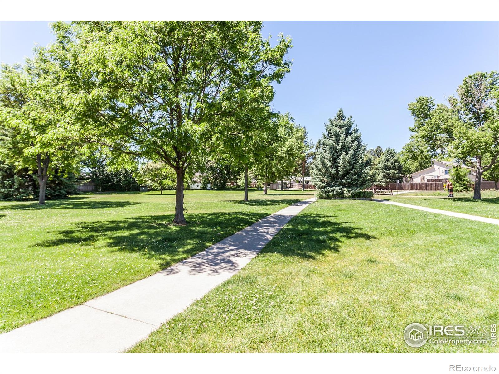 MLS Image #39 for 1379  charles drive,longmont, Colorado