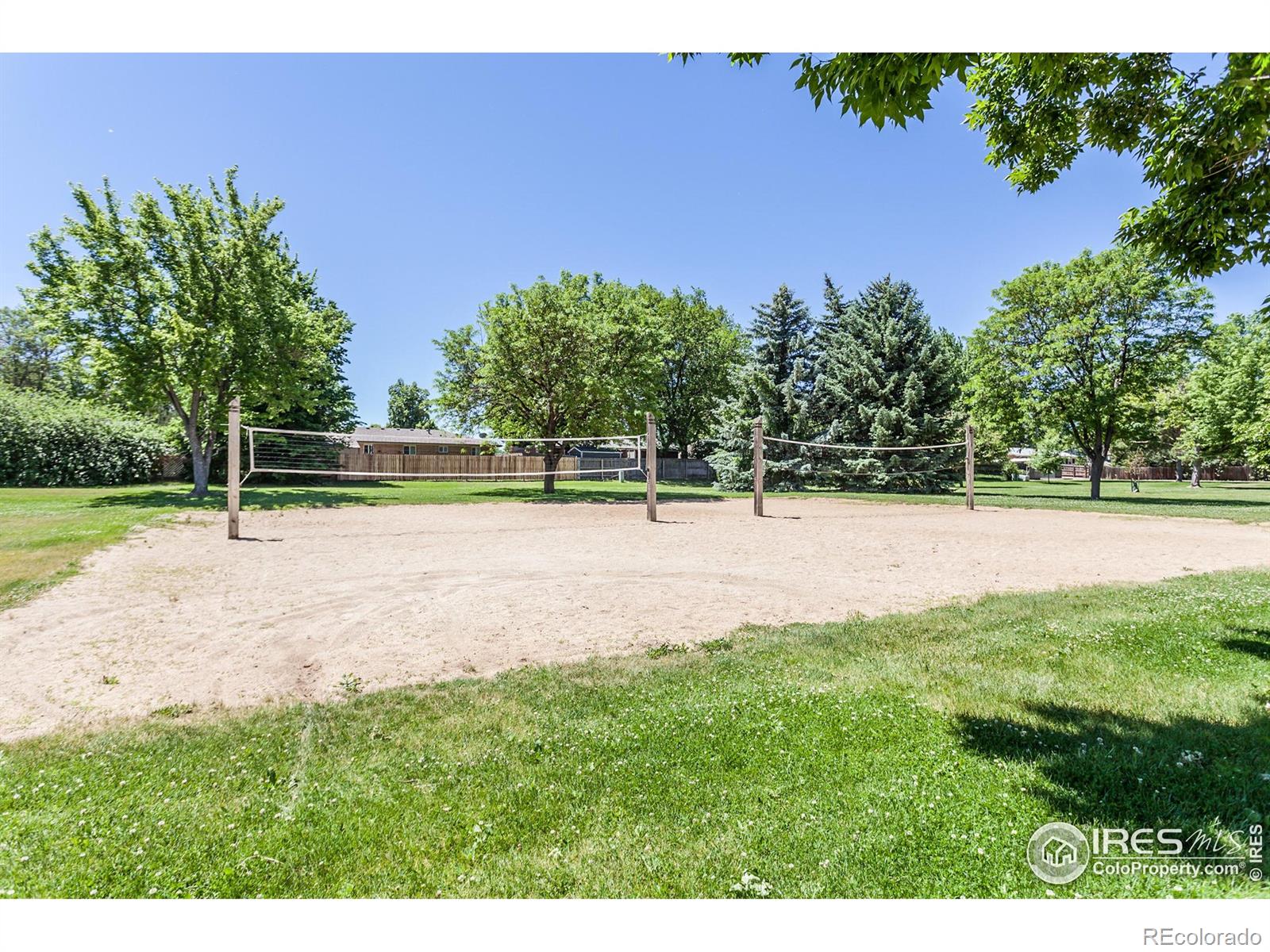 MLS Image #41 for 1379  charles drive,longmont, Colorado