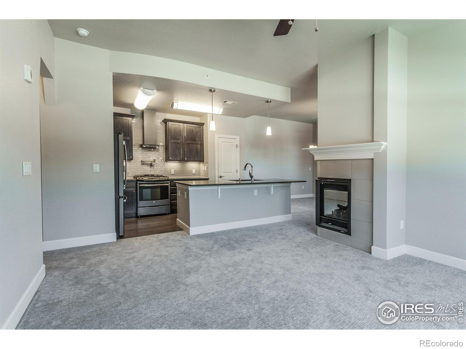 MLS Image #8 for 1379  charles drive,longmont, Colorado