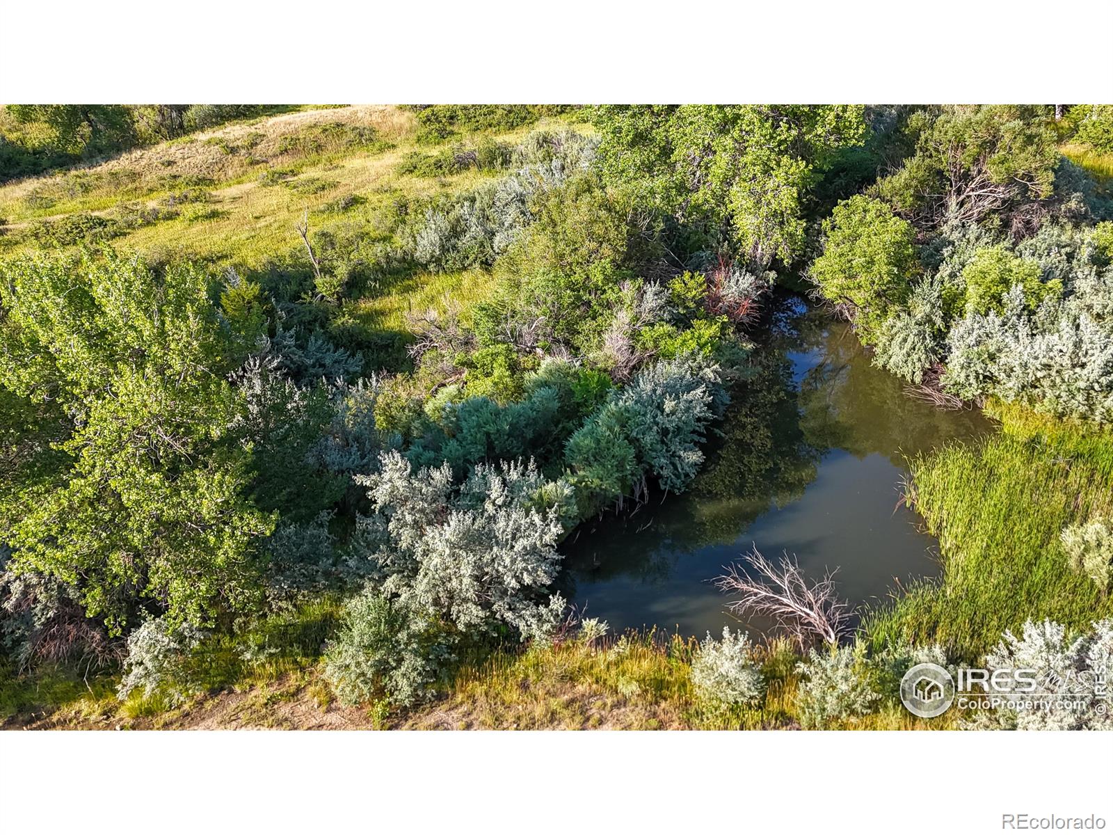 MLS Image #39 for 1525 s county road 27e ,berthoud, Colorado
