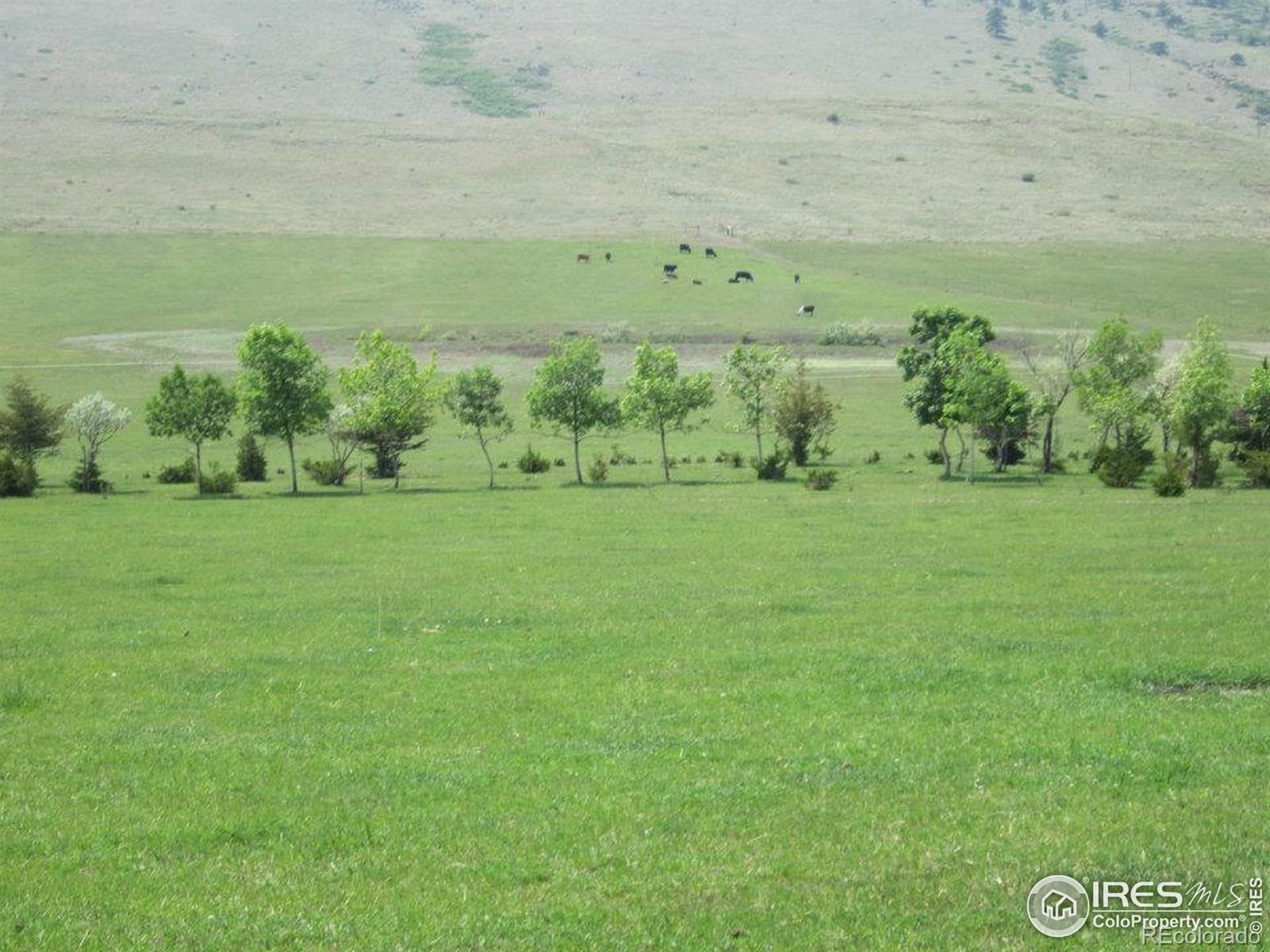 MLS Image #43 for 1525 s county road 27e ,berthoud, Colorado