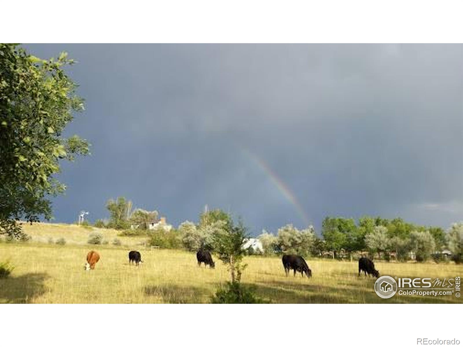 MLS Image #45 for 1525 s county road 27e ,berthoud, Colorado