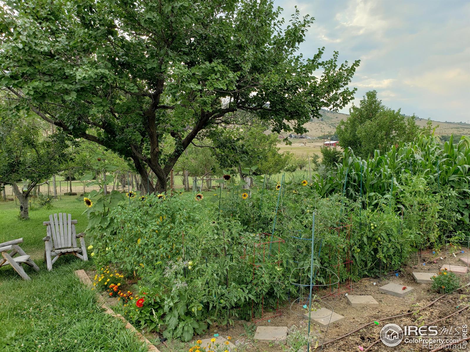 MLS Image #46 for 1525 s county road 27e ,berthoud, Colorado