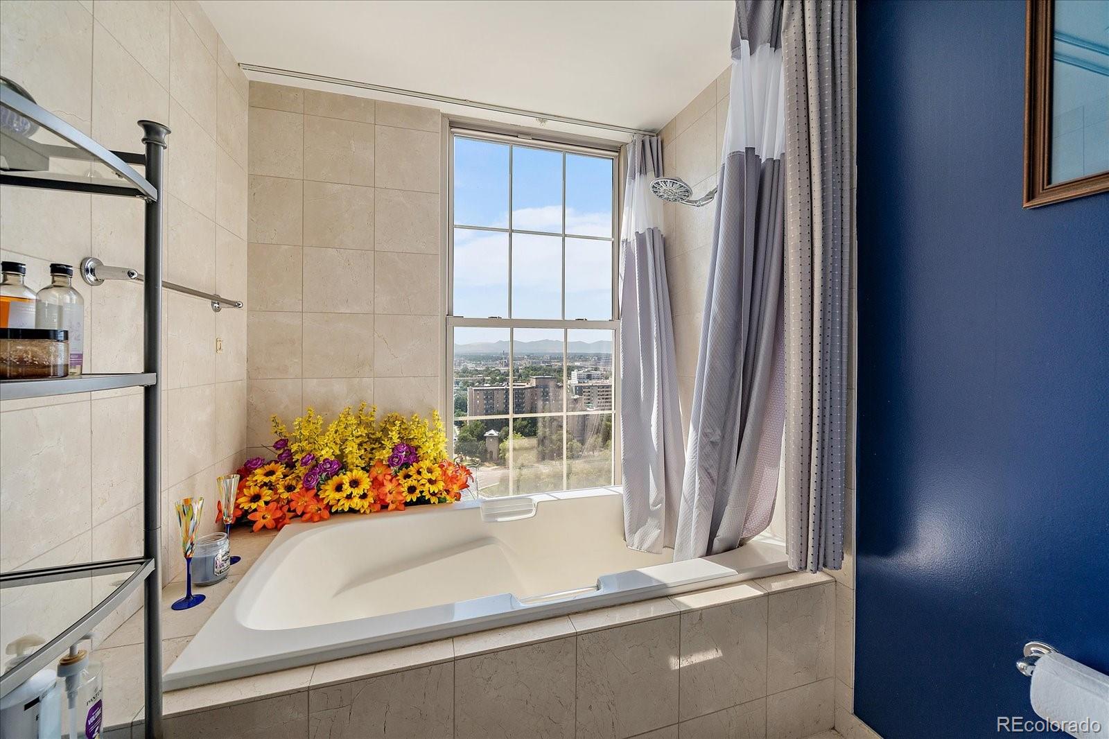 MLS Image #12 for 300 w 11th avenue 18c,denver, Colorado