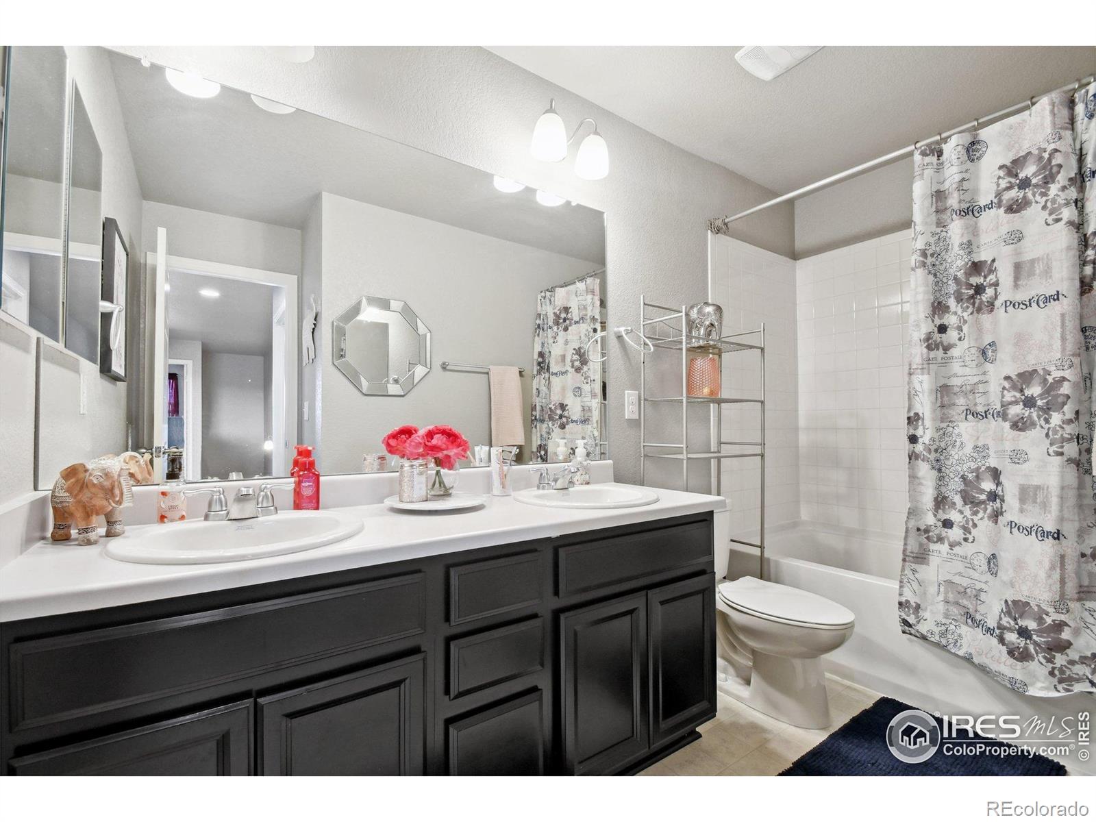 MLS Image #26 for 4426  sidewinder loop,castle rock, Colorado